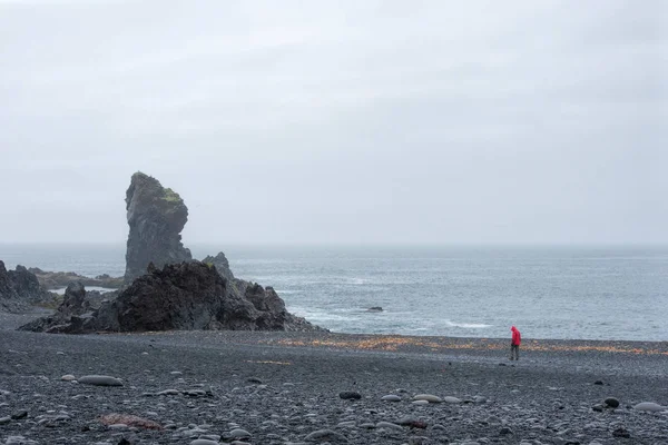 Zatoka Dritvik w Islandii — Zdjęcie stockowe