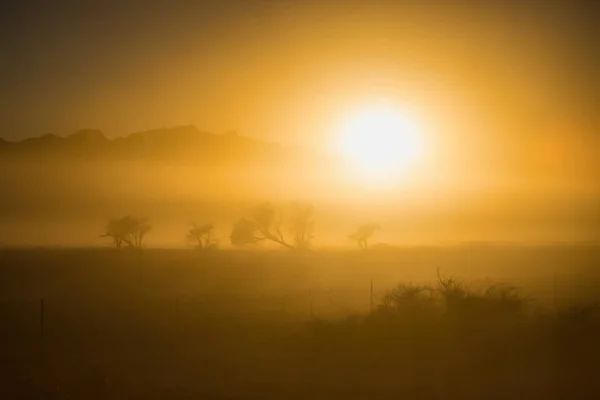 Alba Nel Deserto Del Namib — Foto Stock