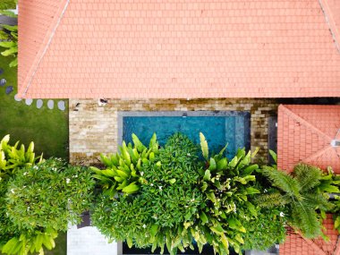 Yüzme Havuzu, palmiye ağaçları, çalılar. Bir arka plan için döşenmiş bir çatı büyük bir parçası. En baştan çekim. 