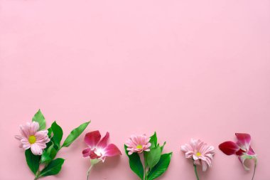 14 Şubat. St. Valentine's Day. Pembe bir arka plan - fern, papatya, Aster, orkide çiçekler. Kopya alanı ile Üstten Görünüm