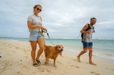 Serbest bir köpek ile bir ailenin sahilde yürüyor. Şık bir genç kız altın geri almak bir sörfçü ile kocası yanında yol açar. Yakın çekim.