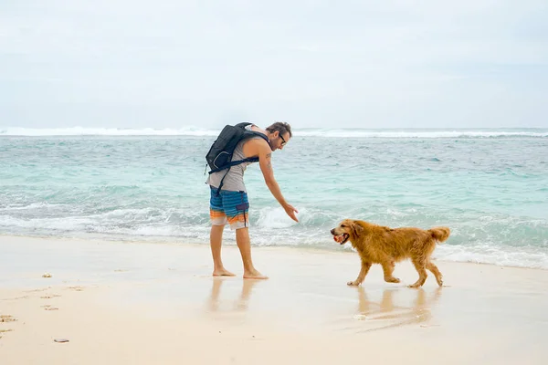 Een Jonge Hipster Surfer Freelancer Speelt Met Een Gouden Retriever — Stockfoto