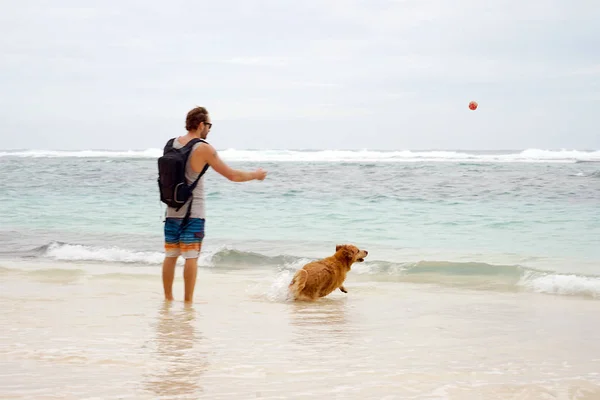 Ung Hipster Surfare Och Frilansare Spelar Med Golden Retriever Hund — Stockfoto
