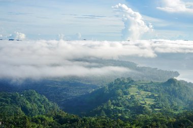 Mount Batur Bali Adası. Pirinç tarlaları. Fotoğraf bulutların üzerinde alınır.