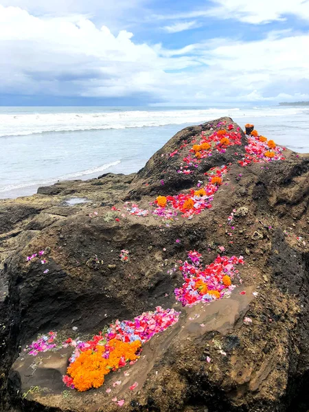 Rock Buurt Van Zee Rots Zijn Kleurrijke Bloemen Stucwerk Het — Stockfoto