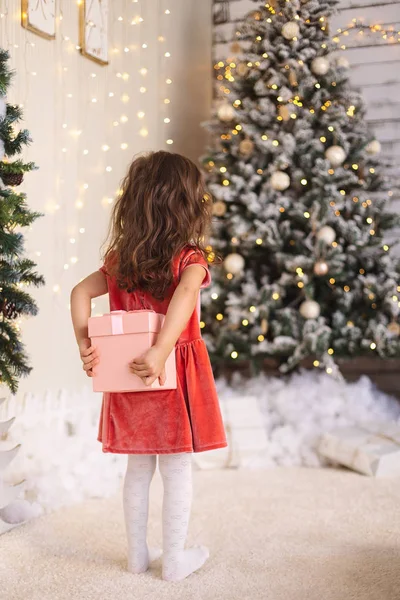 Menina está escondendo um presente de Natal nas costas — Fotografia de Stock