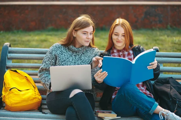 Due studenti seduti sulla panchina concentrati in un libro — Foto Stock