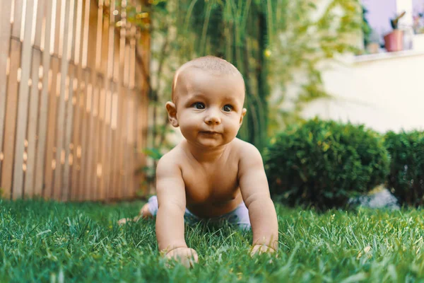 Bayi Laki Laki Manis Merangkak Rumput Hijau Luar Rumah Halaman — Stok Foto