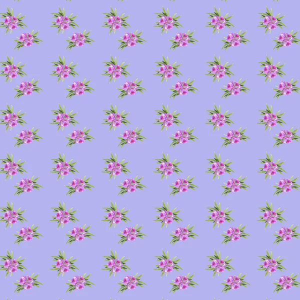 Vzor růžové květy se zelenými listy na barevném pozadí — Stock fotografie