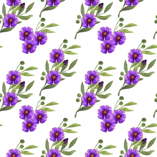 Pattern of purple watercolor floral bouquets on a white background — Stockfoto