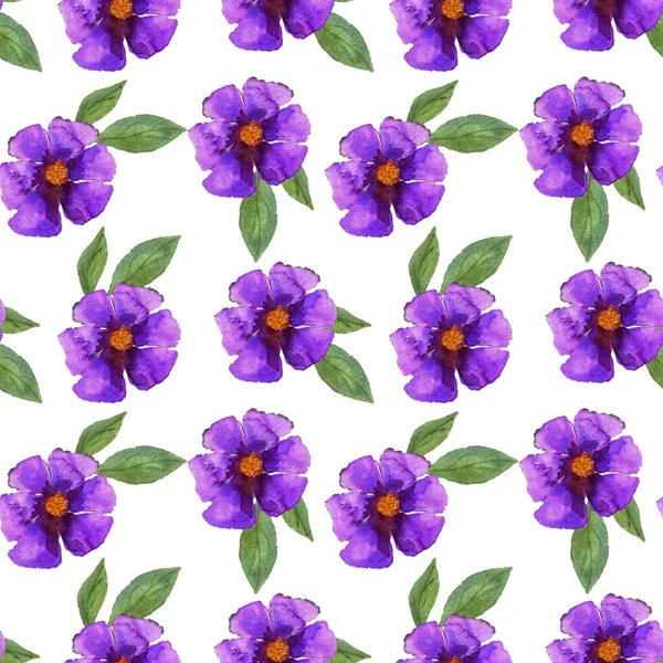 Patrón de ramos de flores de acuarela púrpura sobre un fondo blanco —  Fotos de Stock