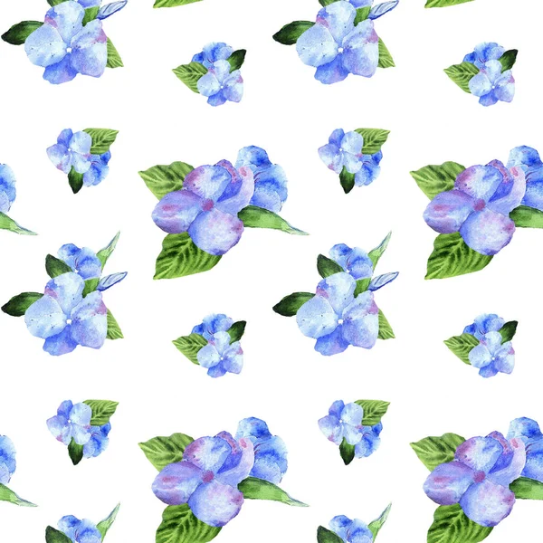 Pattern with watercolor blue flowers on a white background. — Stock Photo, Image