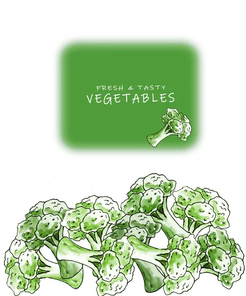 Zestaw świeżych organicznych warzyw. Brokuły na białym tle z miejscem na tekst. — Zdjęcie stockowe