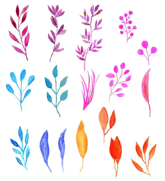 Set di foglie multicolori ad acquerello, rami con bacche, elementi decorativi su sfondo bianco — Foto Stock
