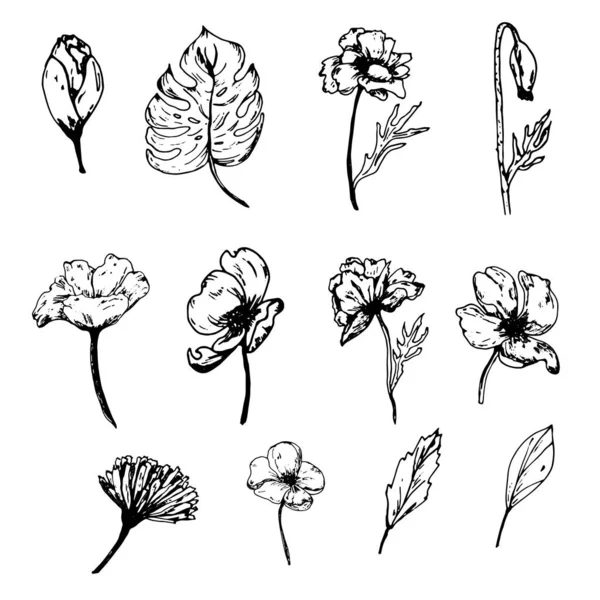 Conjunto con un patrón lineal de flores y hojas. Esquema conjunto de fondo para el diseño del logotipo . — Foto de Stock