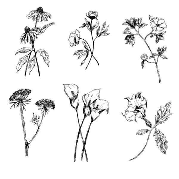 Set con un modello lineare di fiori e foglie. Sfondo di contorno. Set per logo design . — Foto Stock