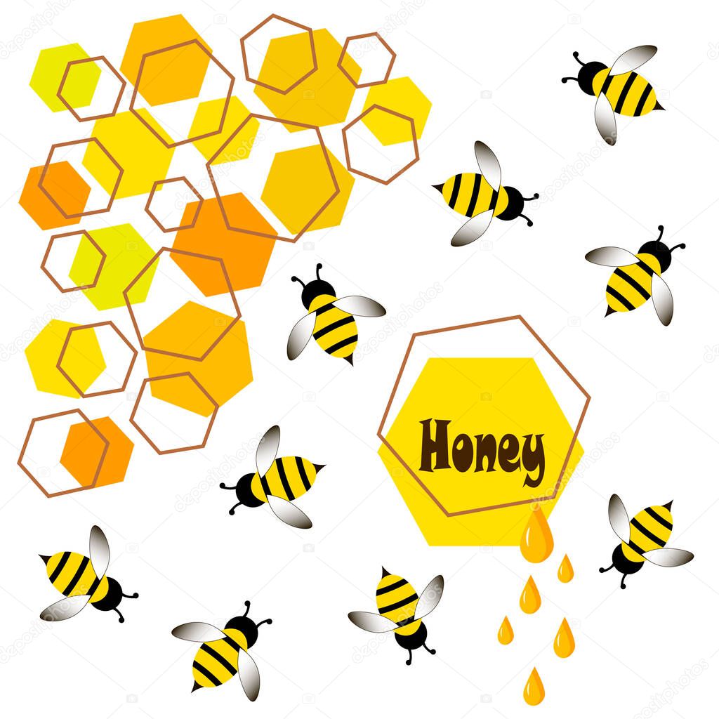 In flat style bee, wasp, honey. Vector illustration card.