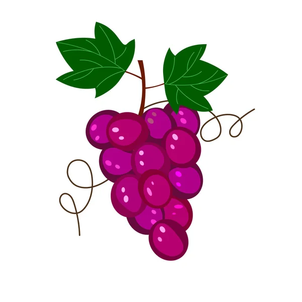 Czerwone winogrona. Naturalna ikona owoców. Szkic żywności. — Zdjęcie stockowe