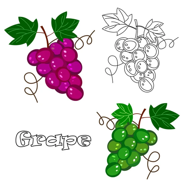 Scenariusz jedzenia. Organiczny zestaw odizolowanych winogron. Naturalna ikona owoców z tekstem. — Zdjęcie stockowe