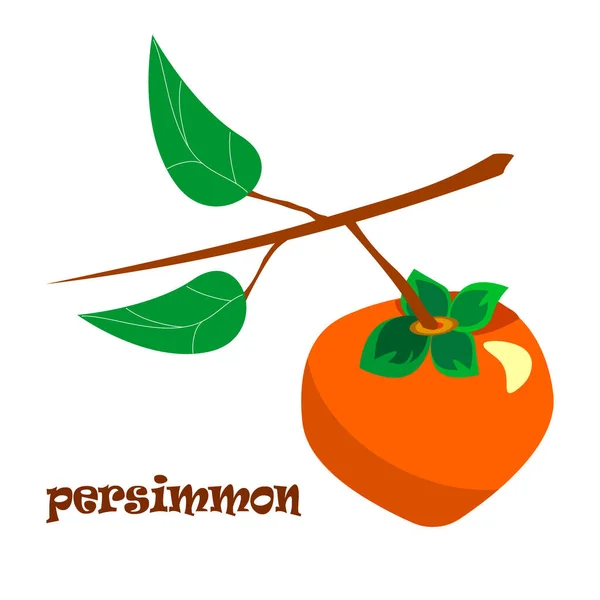 Det är Persimmon. Illustration med text på vit bakgrund. — Stockfoto