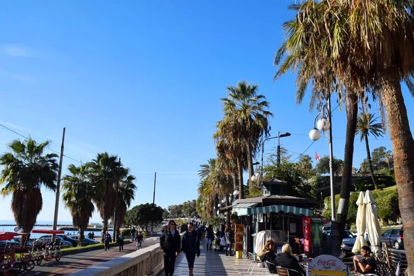 Vallen och palm träd i San Remo Italien — Stockfoto