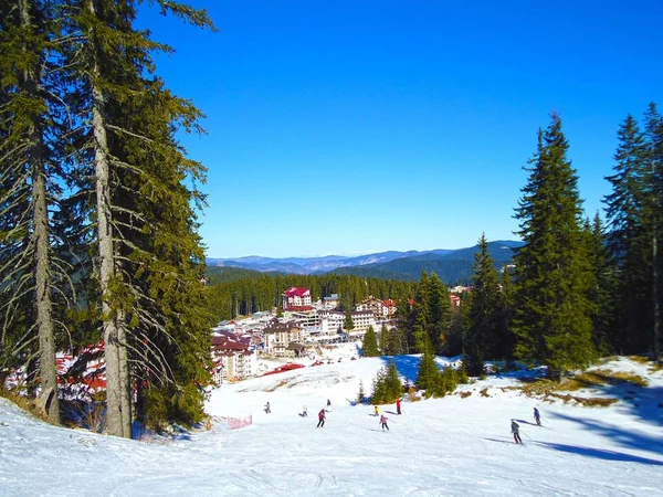 在滑雪胜地 Pamporovo 中与酒店与绿色松树山滑雪赛道 图库图片
