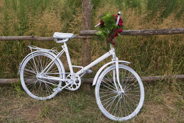 Vélo décoré blanc — Photo