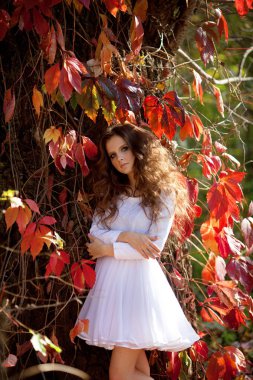 Makyaj ve saç-elbise ile güzel genç kız