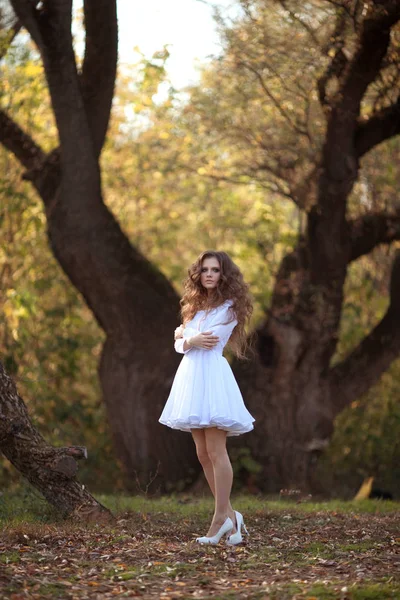 Belle jeune fille avec maquillage et robe de coiffure — Photo