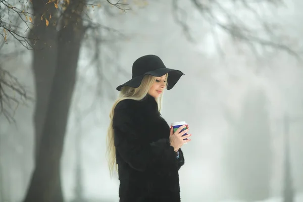 Mooi Jong Meisje Bontjas Hoed Wandelen Het Park Winterweer Met — Stockfoto