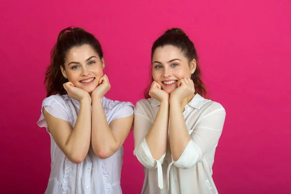 两个美丽的年轻姐妹双胞胎在一个良好的心情在白色上衣在粉红色的背景 — 图库照片