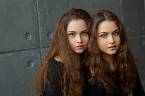 Портрет Двох Молодих Красивих Сестер Близнюків Протікаючим Волоссям Сірому Фоні — стокове фото