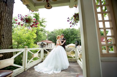 damat ve gelin yaz Park'ta yürüyordunuz güzel sevgi dolu genç Çift