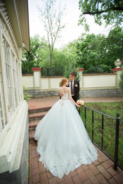 damat ve gelin yaz Park'ta yürüyordunuz güzel sevgi dolu genç Çift