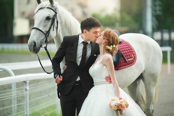 Bonito Amoroso Jovem Casal Noivo Noiva Beijando Perto Cavalo — Fotografia de Stock