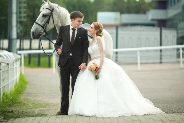 Belo Amoroso Jovem Casal Noivo Noiva Perto Cavalo — Fotografia de Stock