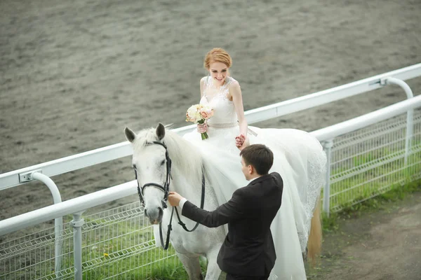 Красивая Любящая Молодая Пара Жених Невеста Верхом Белой Лошади — стоковое фото