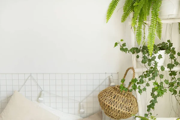beautiful white wall with decor and plants