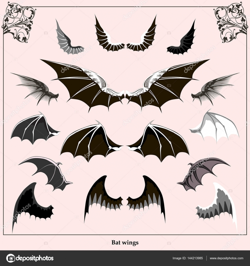Ailes De Chauve Souris Images Vectorielles Ailes De Chauve Souris Vecteurs Libres De Droits Depositphotos Ailes De Chauve Souris Images Vectorielles Ailes De Chauve Souris Vecteurs Libres De Droits Depositphotos