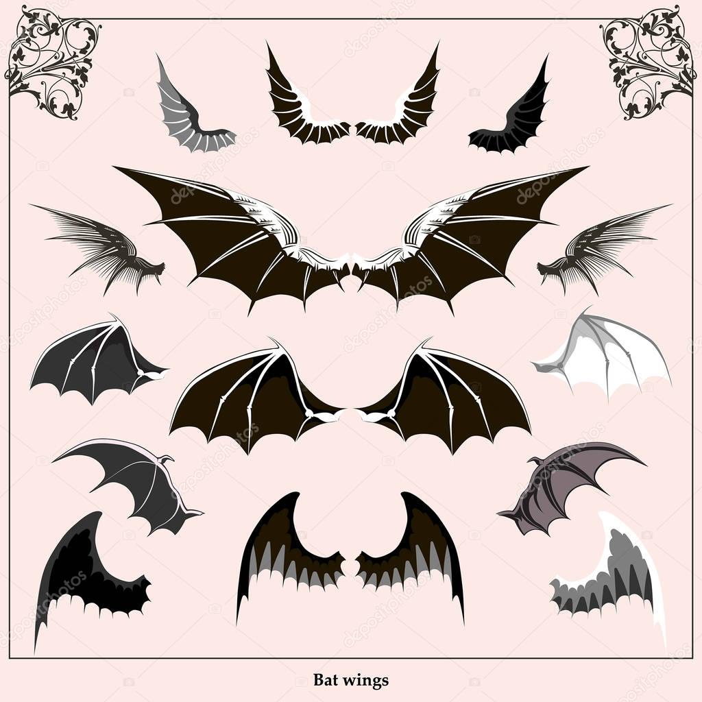 Set of bat wings