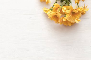 Kopya alanı ile beyaz ahşap yüzey arka planda izole Kasımpatı çiçeği.