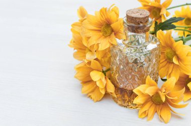 Krizantem papatya çiçek esans tentür şişe beyaz ahşap masa arka plan kopya alanı ile. Bitkisel ilaç.