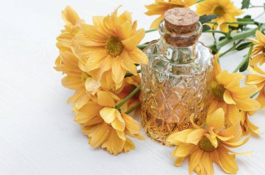 Krizantem papatya çiçek esans tentür şişe beyaz ahşap masa arka plan üzerinde. Bitkisel ilaç.