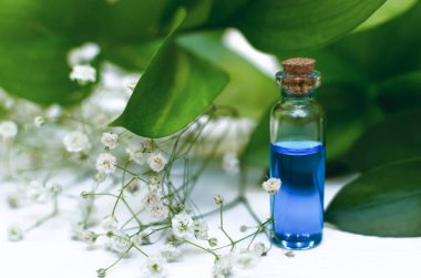 Mavi özü tentür Beyaz ahşap masa arka plan üzerinde şifa. Bitkisel Tıp kavramı. Alternatif Tıp.