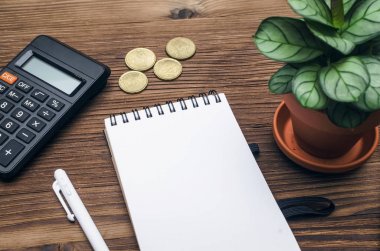 Müfettiş ya da bankacı Resepsiyon Masa artalanını vergi. Kopya alanı, kalem, hesap makinesi ve ahşap masa üstten görünüm üzerinde ağaç yeşil bitki ile not etmek.