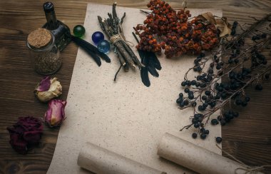 Kopya alanı ile antik sihirli kaydırma kağıt levha. Büyücülük. Cadı doktor Danışma tablo. Sihirli iksir. Alternatif Tıp kavramı.