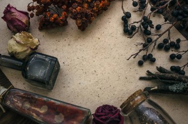 Kopya alanı ile antik sihirli kaydırma kağıt levha. Büyücülük. Cadı doktor Danışma tablo. Sihirli iksir. Alternatif Tıp kavramı.