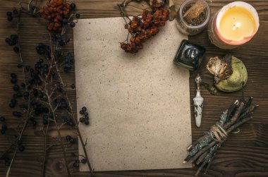 Kopya alanı ile antik sihirli kaydırma kağıt levha. Büyücülük. Cadı doktor Danışma tablo. Sihirli iksir. Alternatif Tıp kavramı.