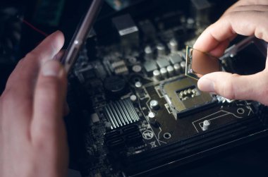Computer processor. Technician installs the CPU on the motherboard. clipart