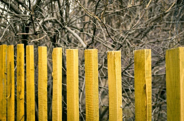 黄色木栅栏在农村花园院子里 村庄背景概念 栅栏后面的树 — 图库照片